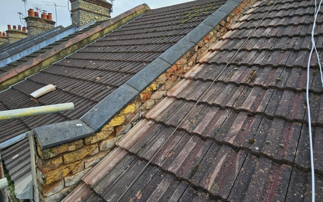 Roofing Maintenance: Tips for Homeowners