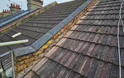 Roofing Maintenance: Tips for Homeowners